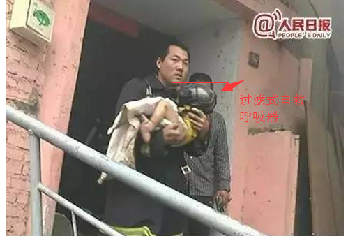 T^(gu)VʽԾȺ׌o