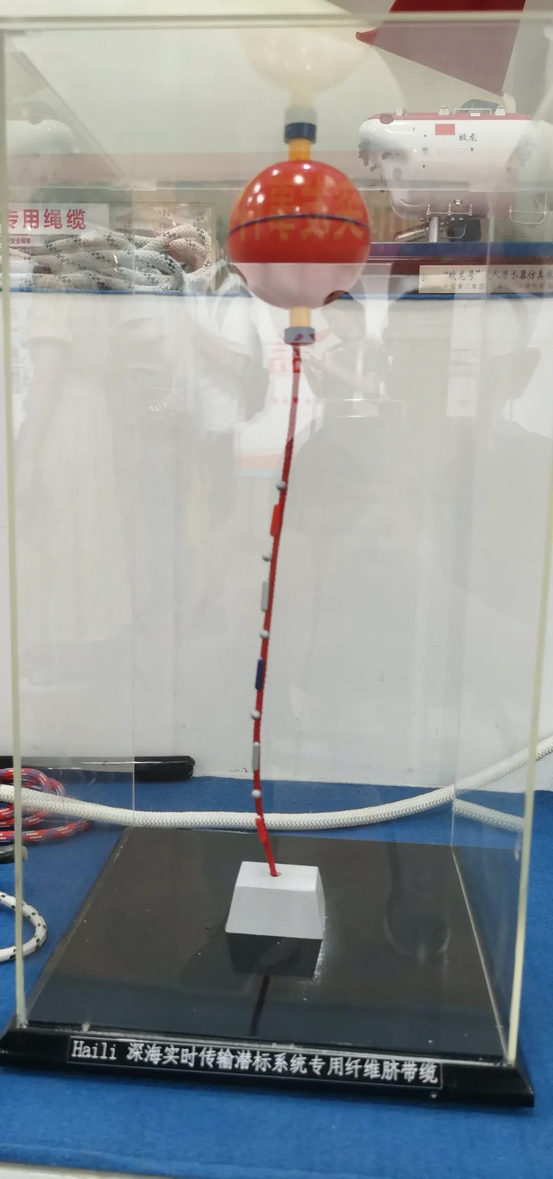 (sh)r(sh)ݔ(bio)ϵy(tng)(zhun)wSĚ|